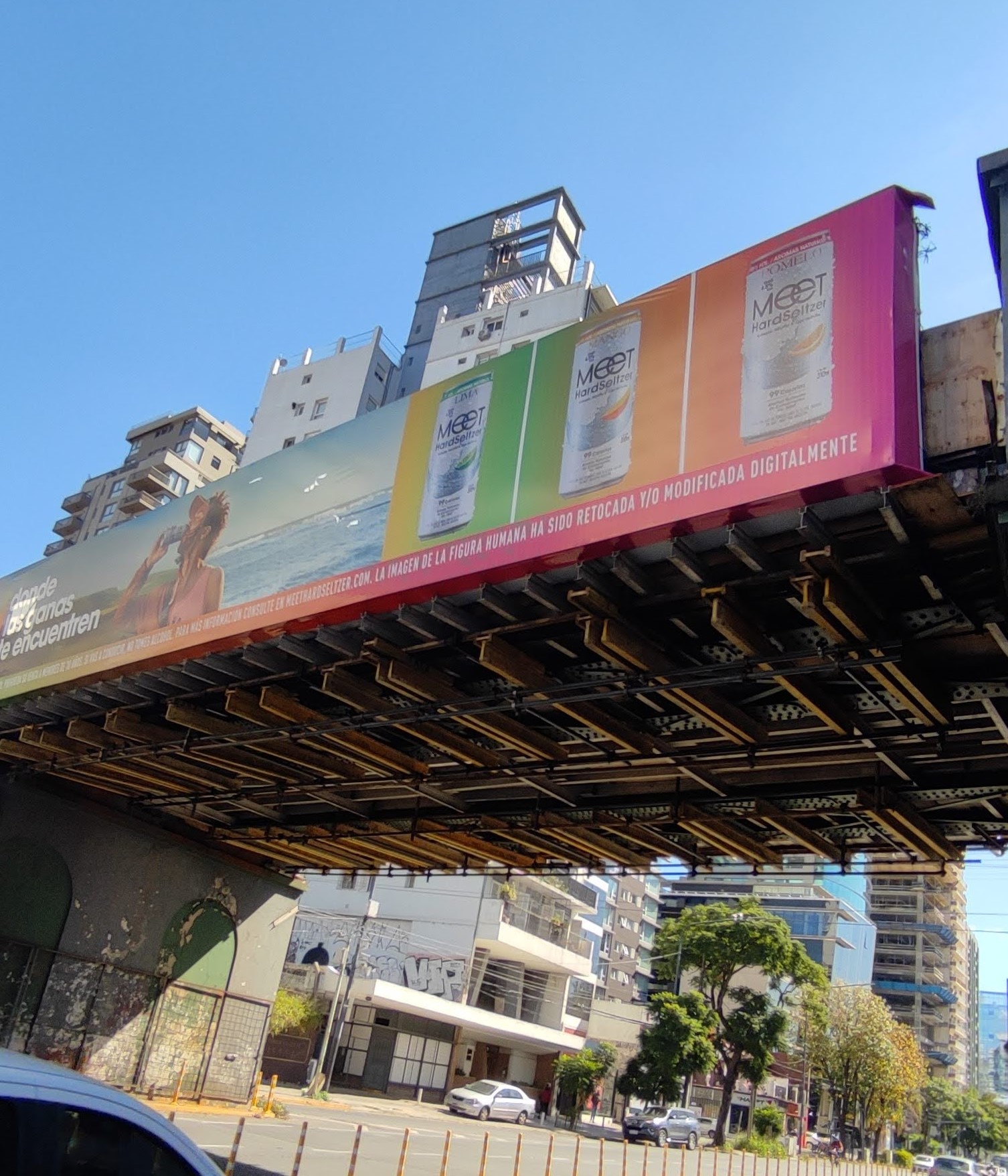 Puente Ferroviario Av. Libertador