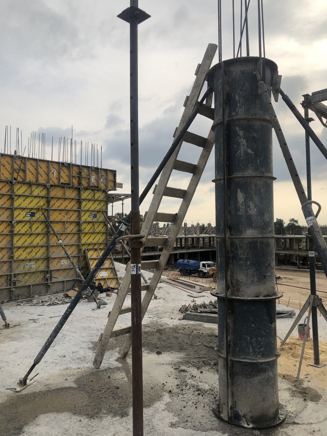 Ven Villanueva - Tigre