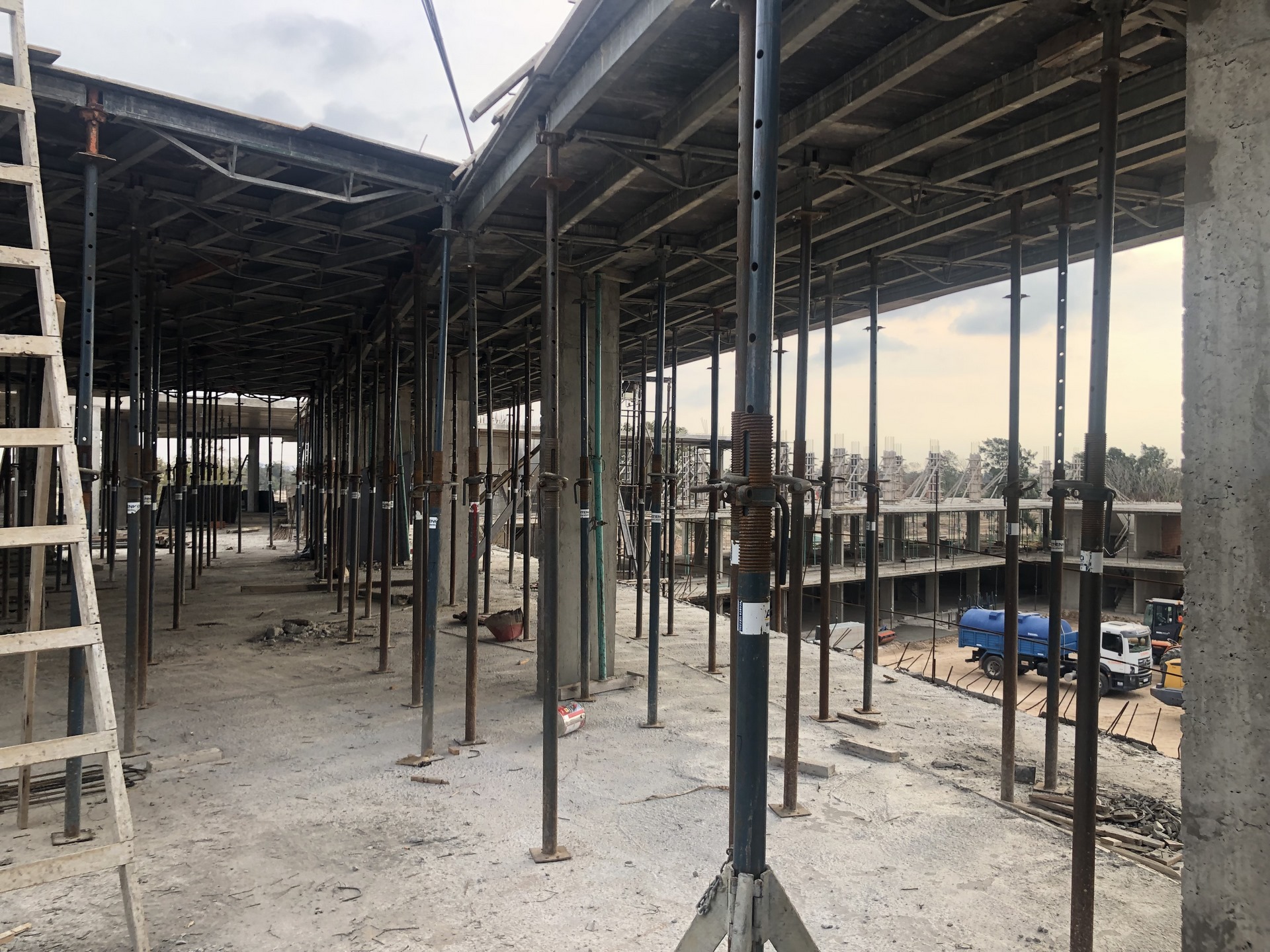 Ven Villanueva - Tigre