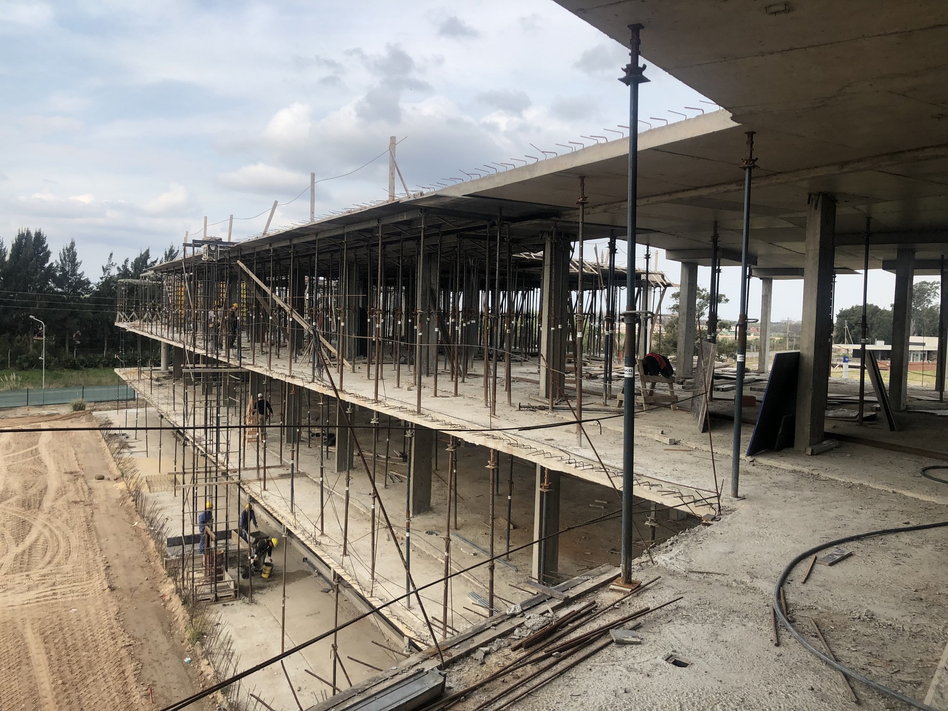 Ven Villanueva - Tigre