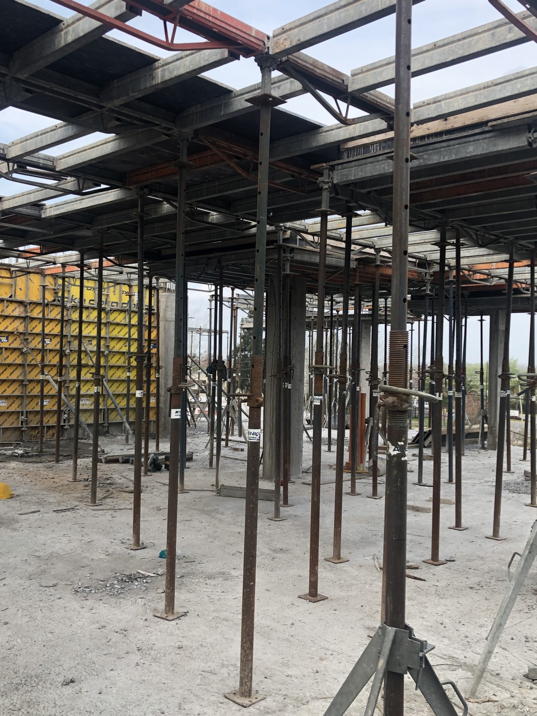 Ven Villanueva - Tigre