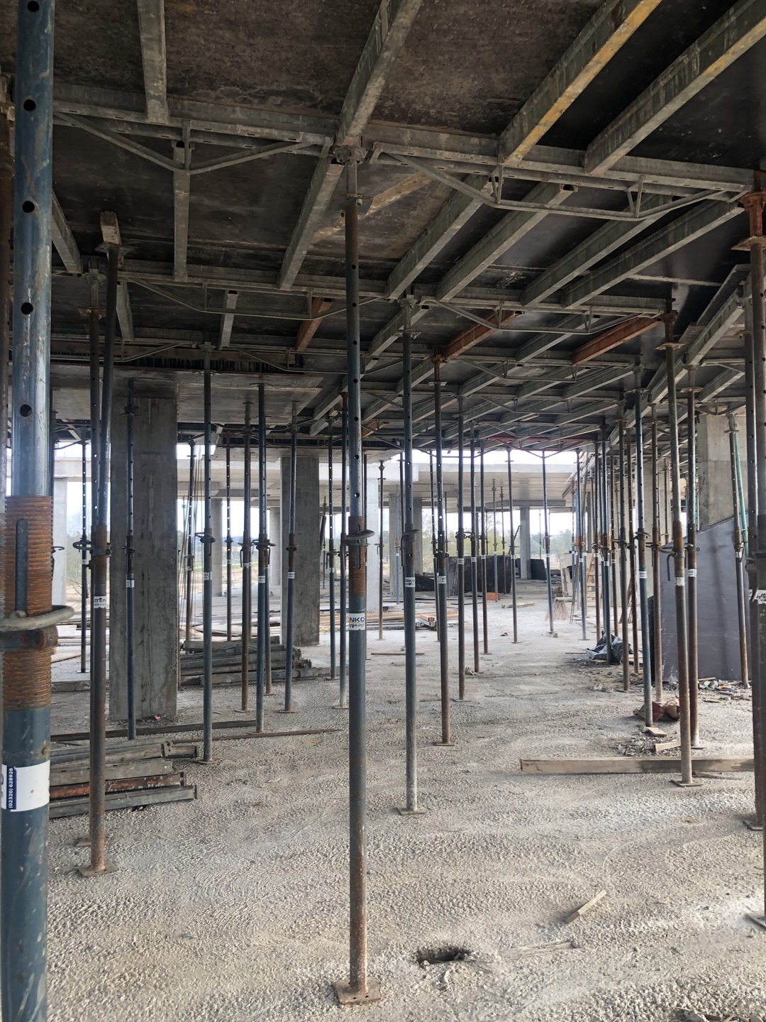 Ven Villanueva - Tigre